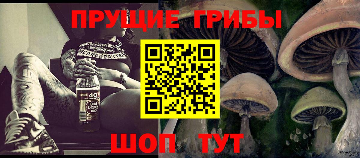 Галлюциногенные грибы MAGIC MUSHROOMS  Вход с VPN  Псилоцибиновые грибы GOLDEN TEACHER  Азнакаево 